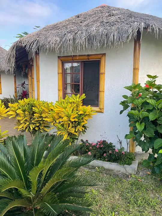 Cabaña con techo de paja y ventana enmarcada en bambú, rodeada de crotos y plantas tropicales