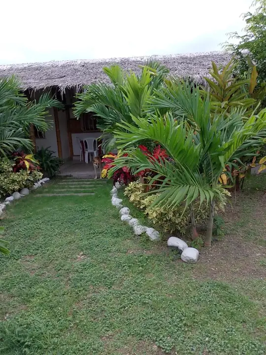 Césped con palmeras y una cabaña con techo de paja, bordeado de piedras blancas