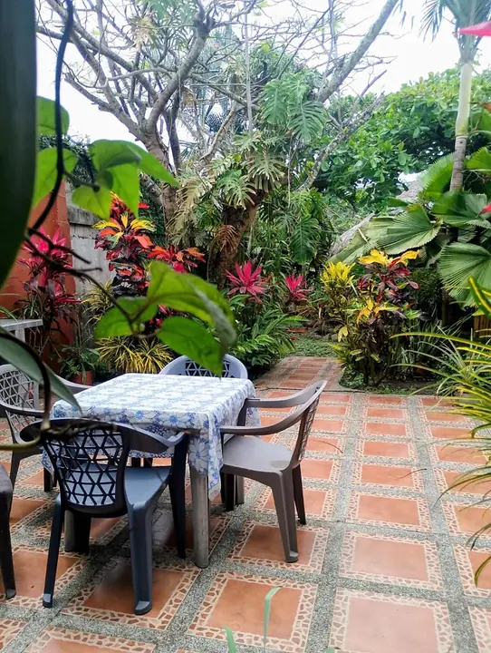Mesa y sillas en un patio con piso de baldosa rodeado de flores tropicales