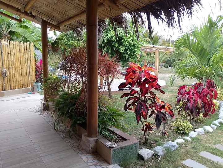 Corredor techado que da a un jardín con plantas de hojas rojas