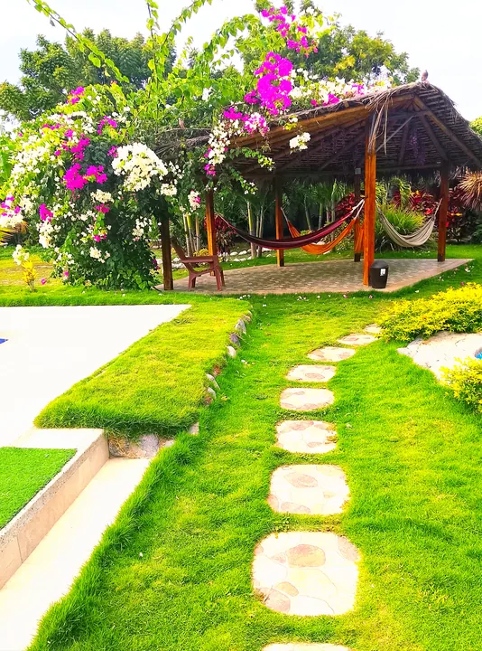 Jardín con sendero de piedras sobre el césped, buganvillas fucsias y blancas en flor y una glorieta con techo de paja y hamacas de colores