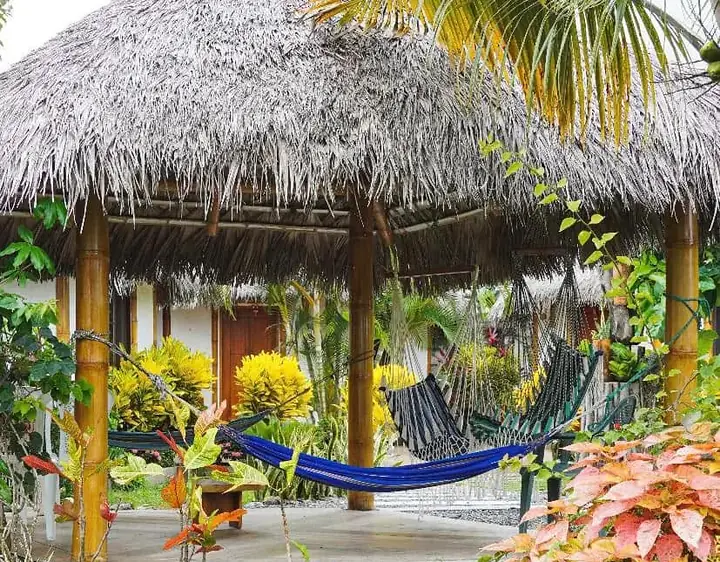 Palapa con techo de paja, hamaca azul y plantas de colores en el jardín