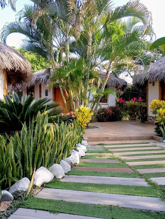 Sendero de piedras entre el césped y plantas tropicales que lleva a las cabañas con techo de paja